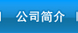 公司简介